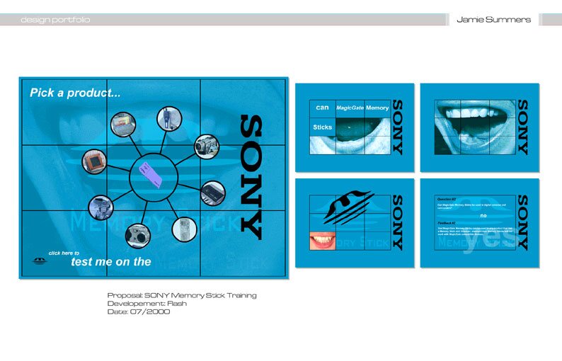 Sony Memory Stick training interface designs